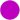 purpldot